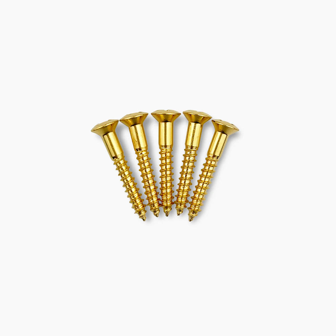 Allparts 1-in. Bridge Mounting Screws - Image 6